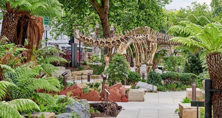 Natural History Museum