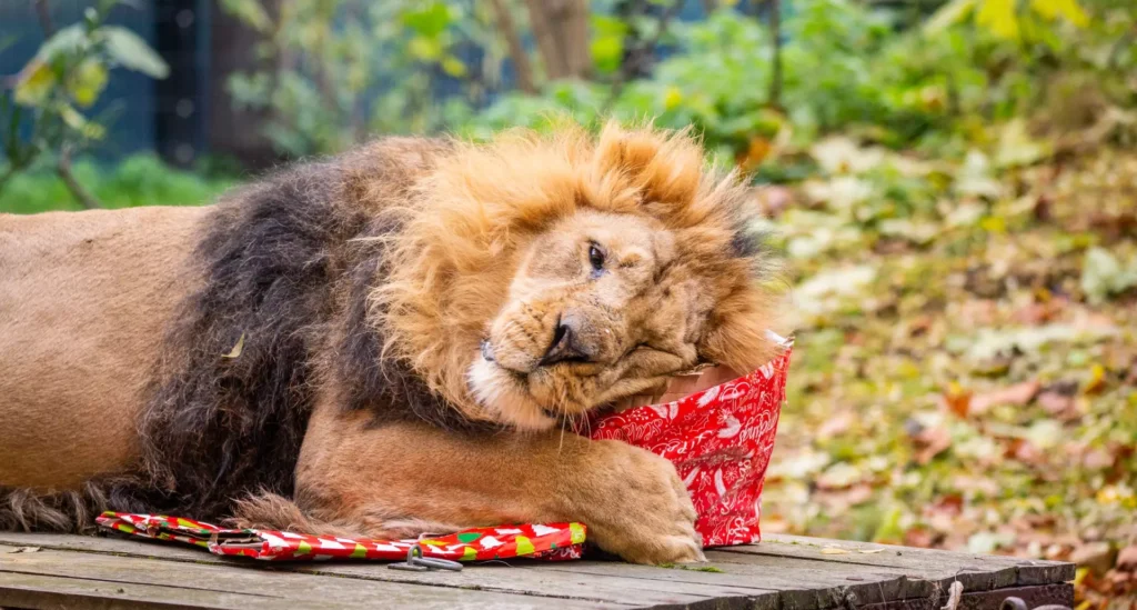 ZSL London Zoo's Indoor Exhibits