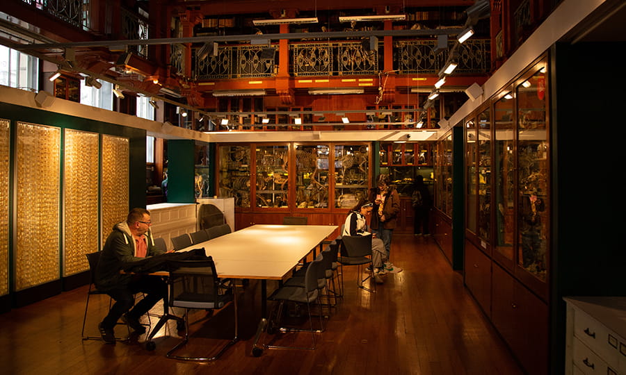 The Grant Museum of Zoology 