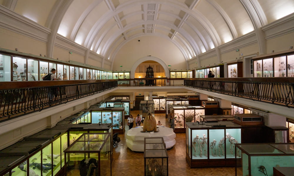 The Horniman Museum